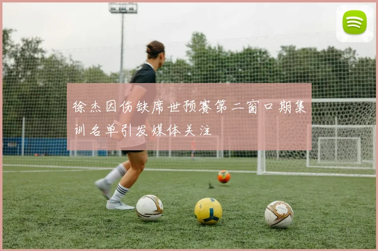 徐杰因伤缺席世预赛第二窗口期集训名单引发媒体关注