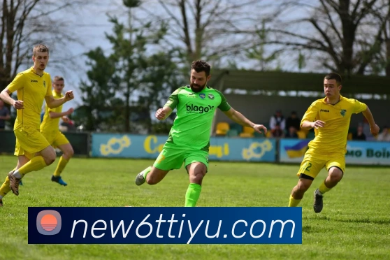 6t体育平台生态图